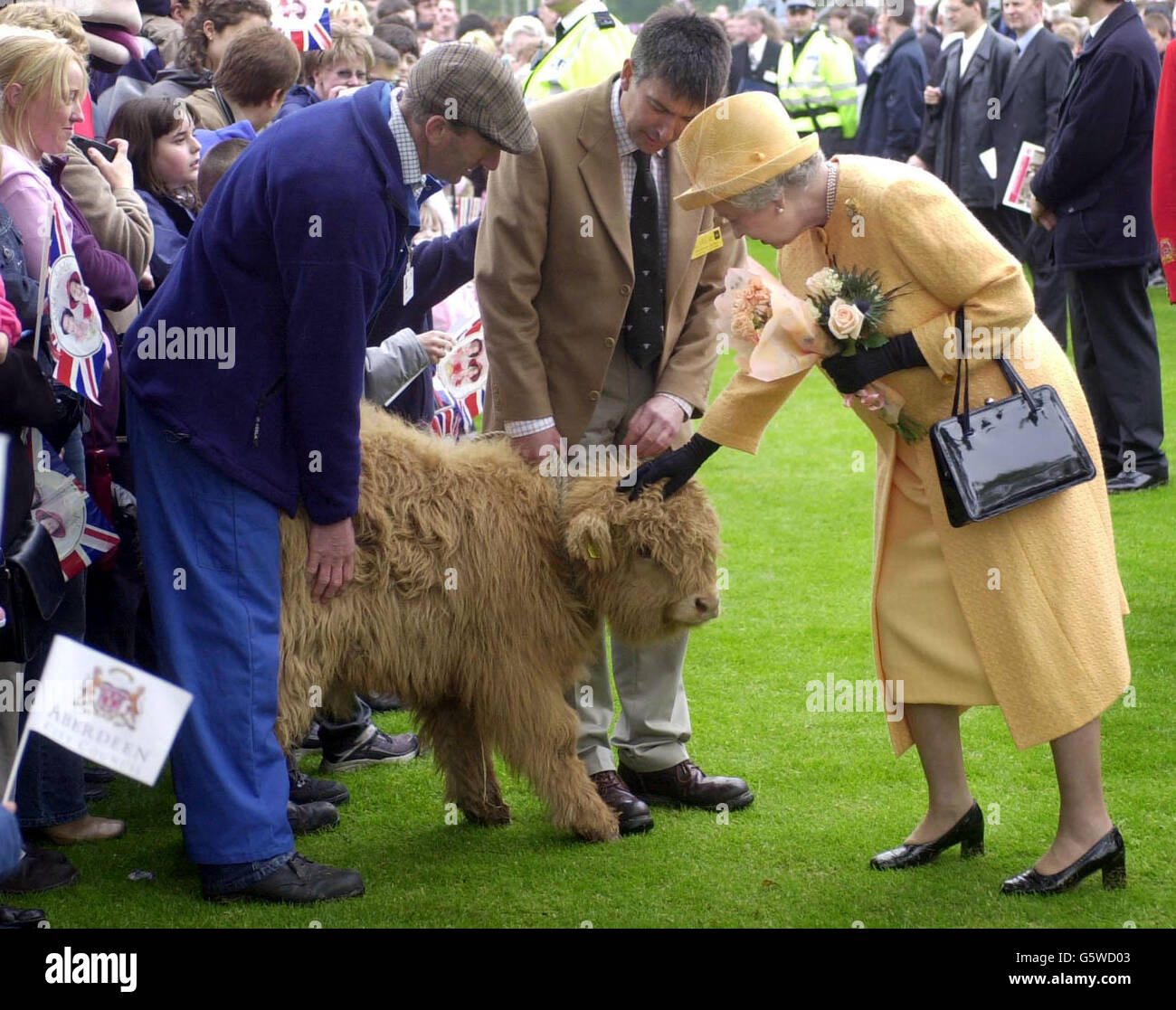 Queen Elizabeth II pets a Highland calf, during her visit to Duthie Park, Aberdeen, as part of her continuing Golden Jubilee tour. Stock Photo