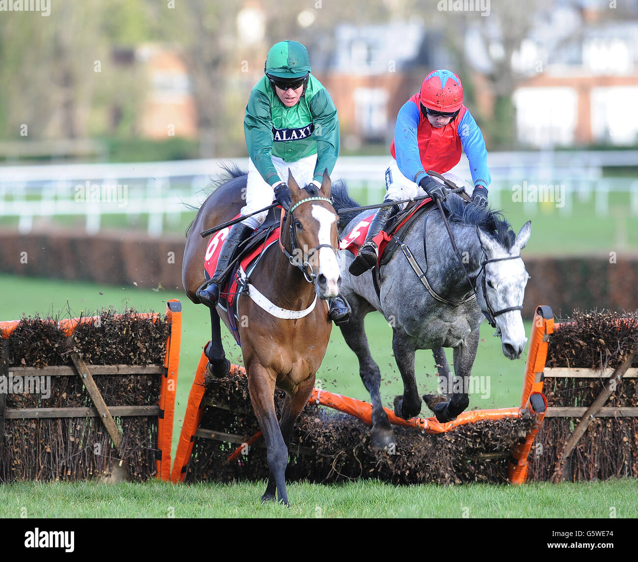 Utopie Des Bordes ridden by Barry Geraghty clears the last fence as Twigline ridden by Rubt Walsh falls in the Jane Seymour Mares' Novices' Hurdle Race(Listed) on Royal Artillery Gold Cup Day at Sandown Park Racecourse Stock Photo