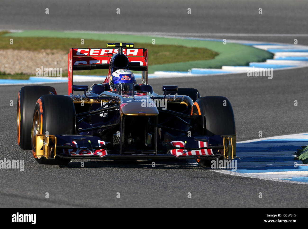 Toro Rosso's Daniel Ricciardo during testing at Circuito de Jerez, Jerez, Spain. Stock Photo