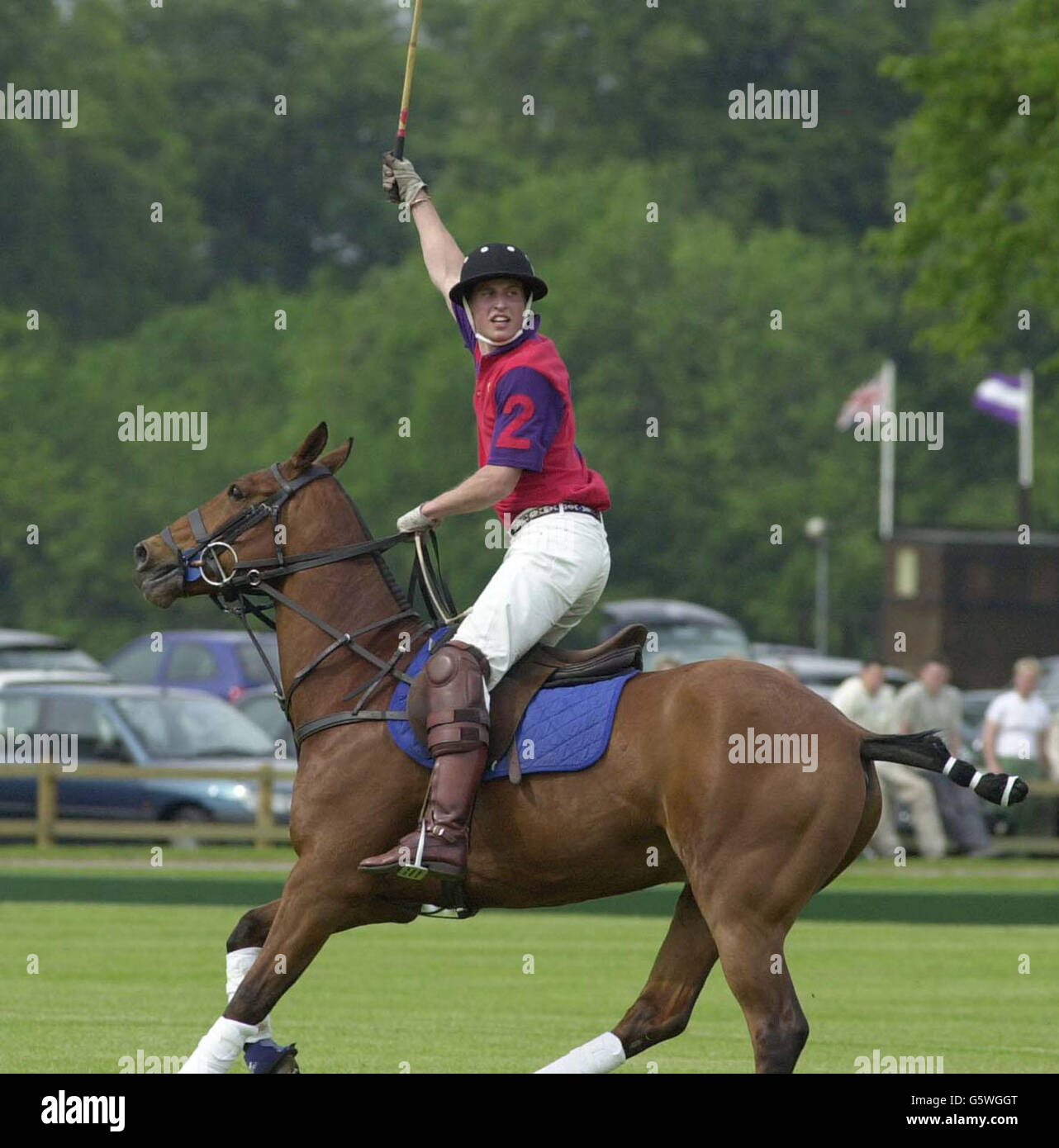 Highgrove team member Prince William, who played with HRH the Prince of Wales, Ben Vestey and Prince Harry, beating Lovelocks in the Dorchester Polo Trophy in aid of the British Wheelchair Sports Foundation Tetbury Hospital Trust at Cirencester Park Polo Club. Stock Photo
