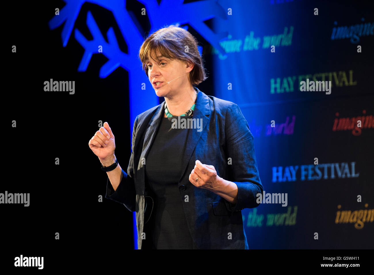 Sarah Harper, Director of the Oxford Institute of Population Ageing The Hay  Festival of Literature and the Arts, Hay on Wye, Powys, Wales UK, Sunday  June 05 2016 Stock Photo - Alamy