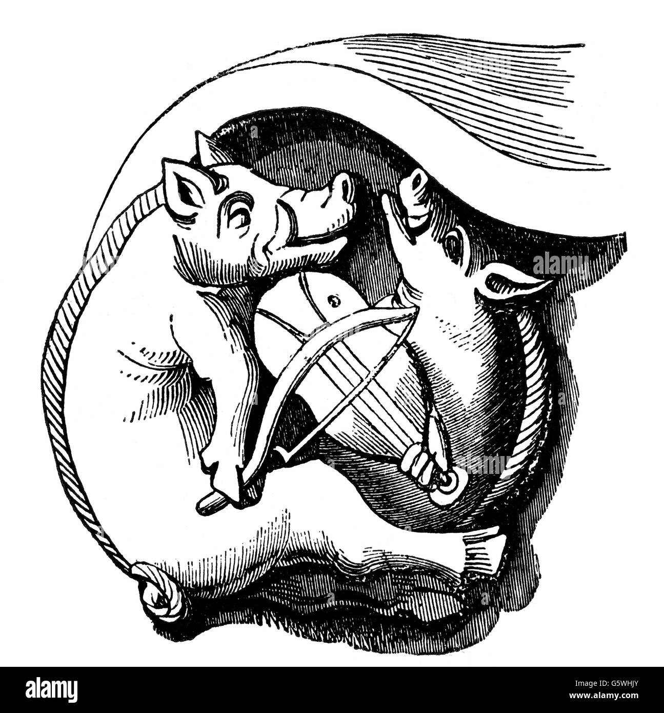religion, clergyman, monk, caricature on the fun-loving life monks, carving, choir stall in the cathedral of Winchester, 13th century, wood engraving, 19th century, animal, animals, animals, animal, pig, swine, pigs, swines, pig, swine, pigs, swines, satire, music, musical instrument, rebec, England, Middle Ages, Catholic, clergy, historic, historical, medieval, Additional-Rights-Clearences-Not Available Stock Photo