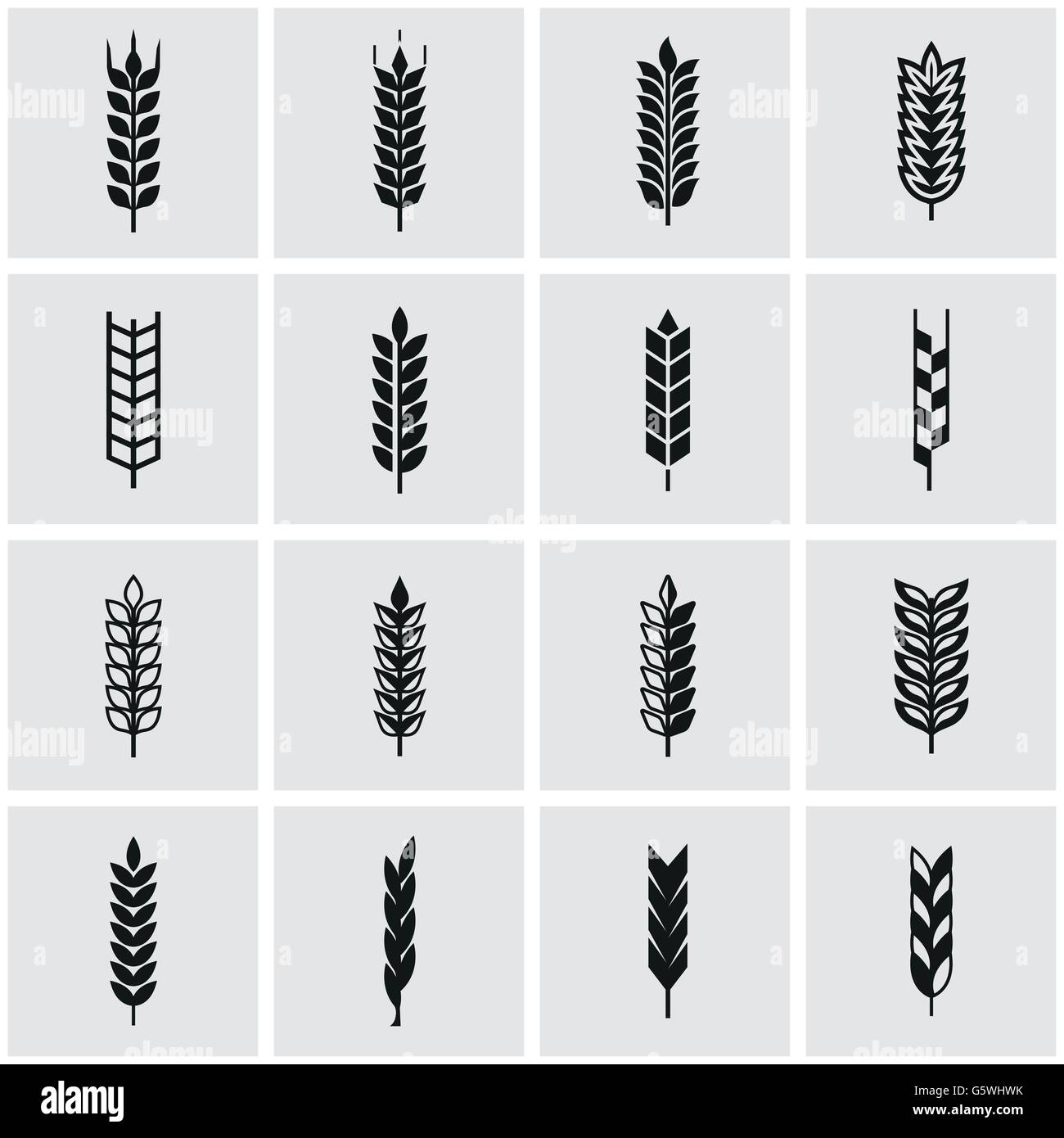 Vector black wheat ear icon set Stock Vector Image & Art - Alamy