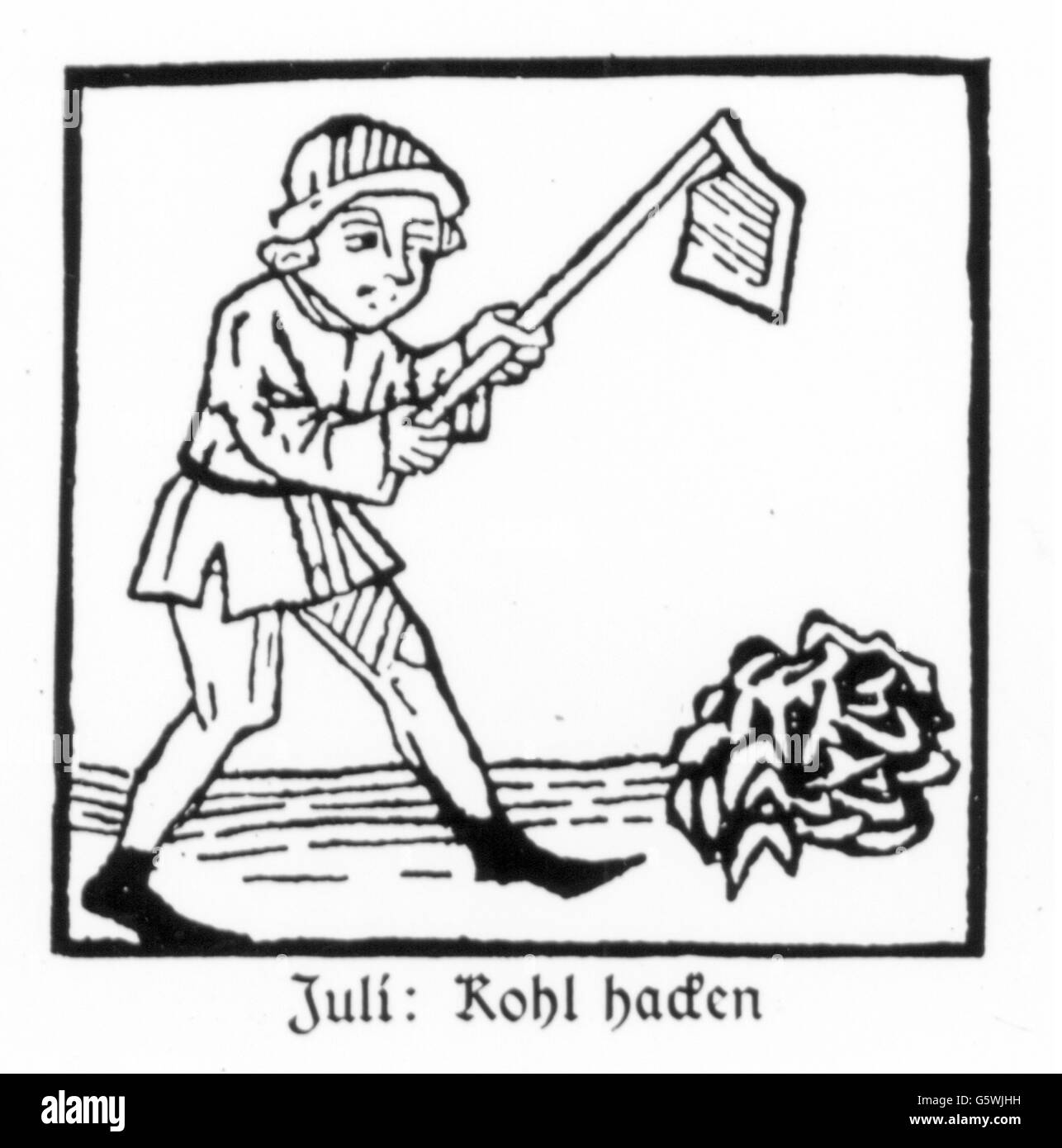 season, 'July', peasant ploughing, woodcut, print: Johann Bämler, Augsburg, circa 1483, Additional-Rights-Clearences-Not Available Stock Photo