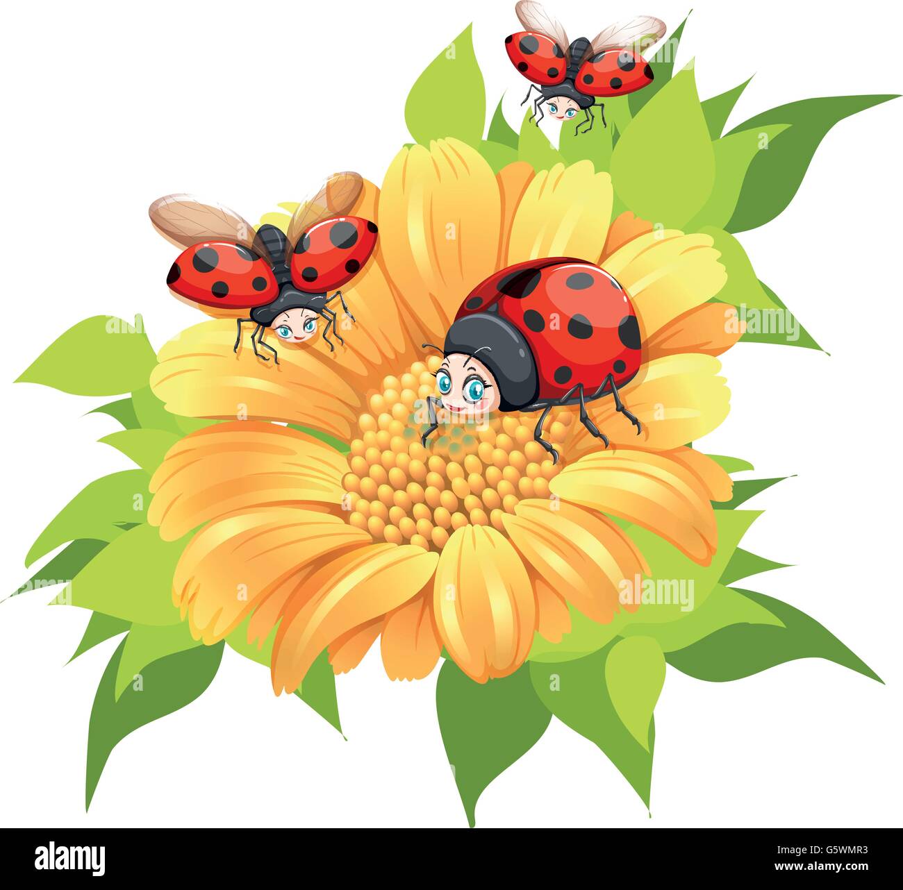 Ladybugs flying around yellow flower illustration Stock Vector Image ...