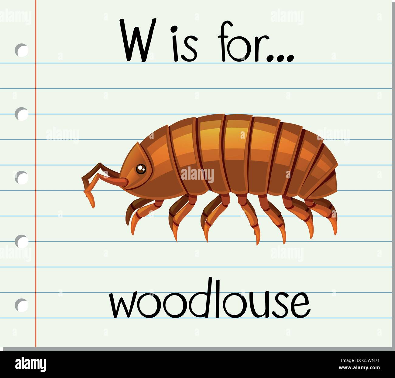 Woodlouse illustration hires stock photography and images Alamy