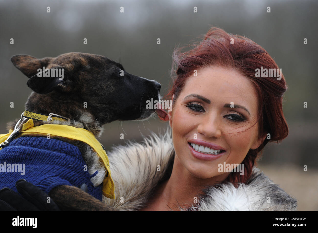 Dogs Trust Centre High Resolution Stock Photography and