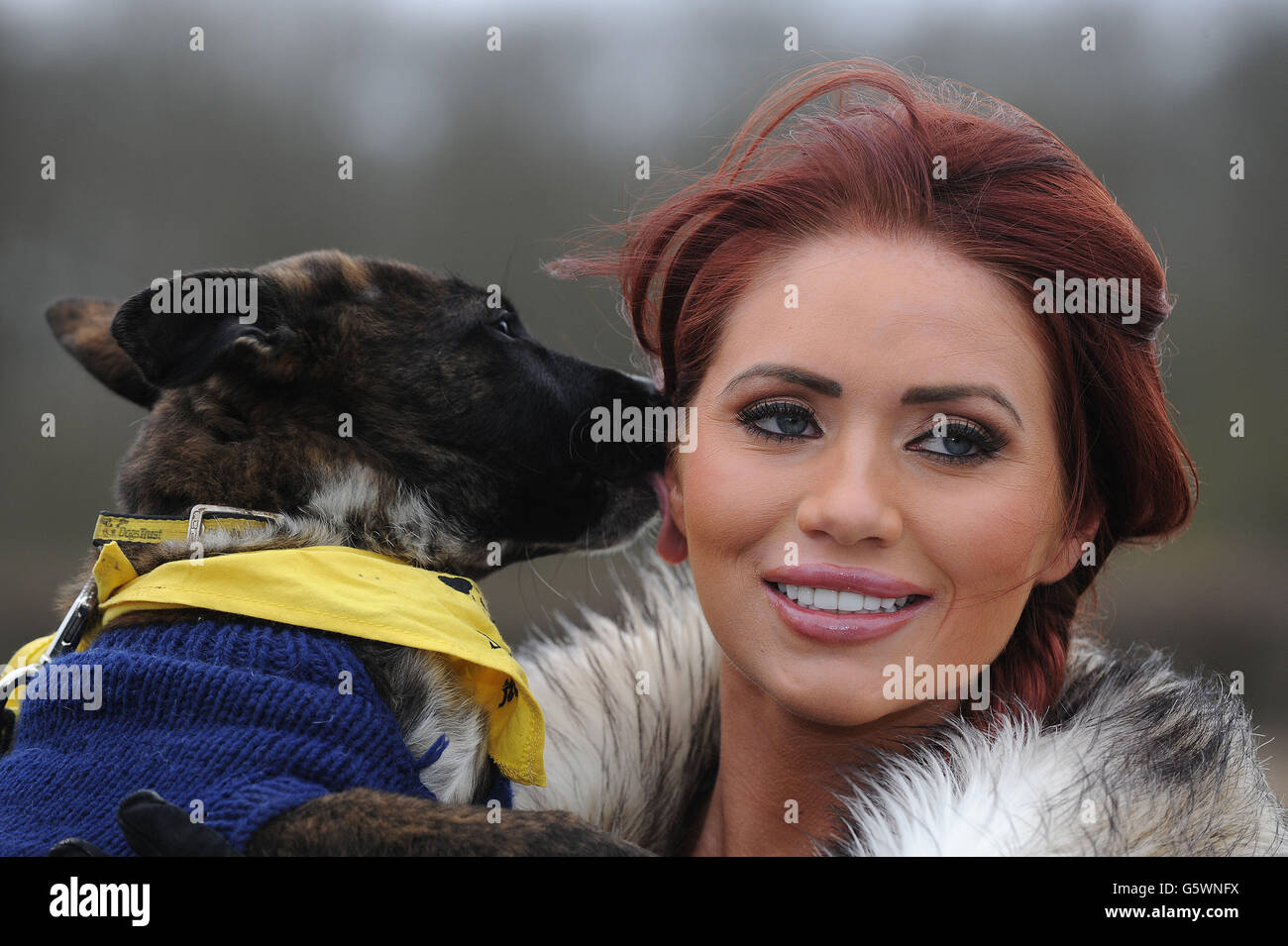 Many tears animal rescue llanelli information
