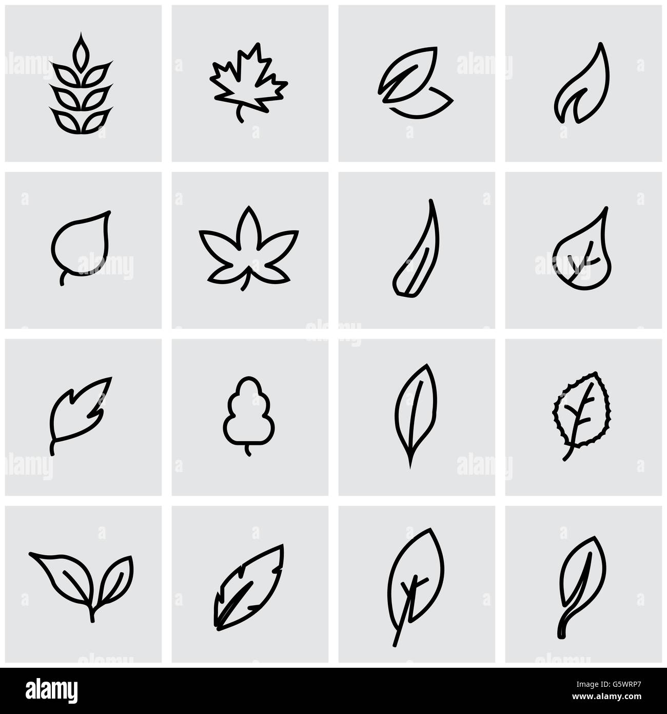 Vector line leaf icon set Stock Vector Image & Art - Alamy