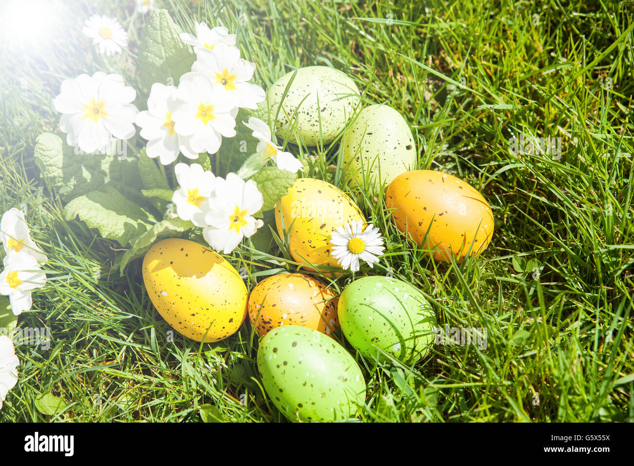 colored Easter eggs hidden in flowers and grass Stock Photo - Alamy
