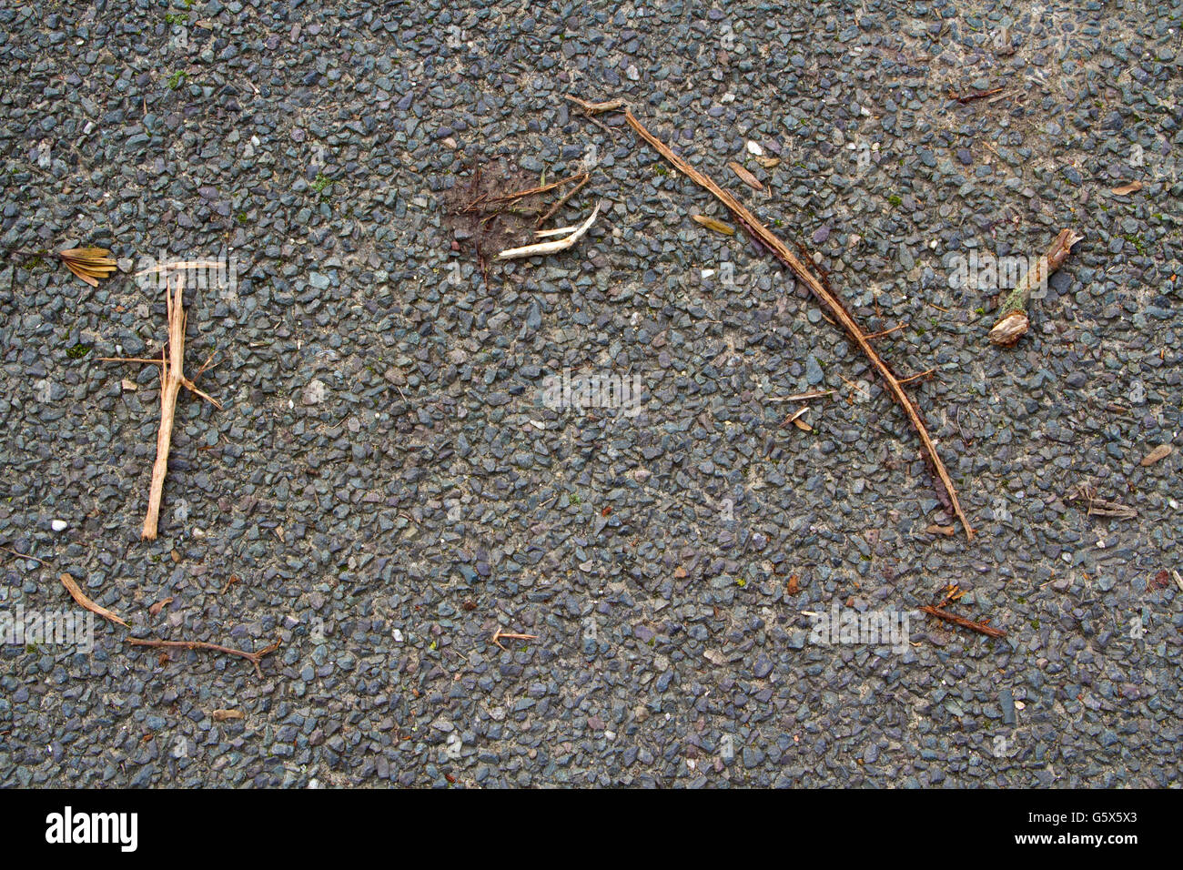 Twigs on a metaled road surface after a windy night Stock Photo