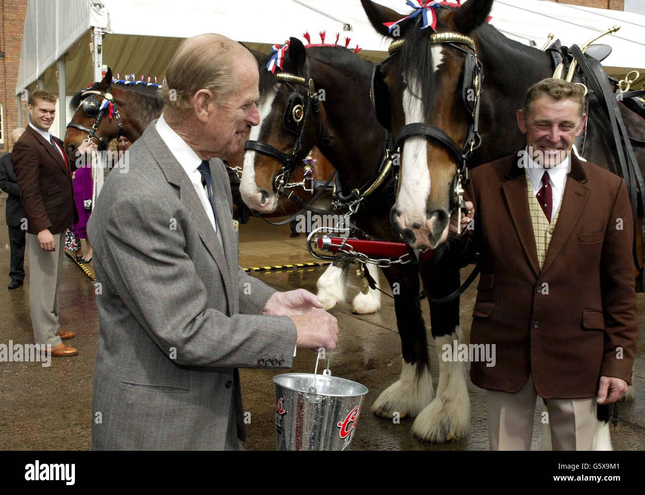 The Duke of Edinburgh gives a shire horse a bucket of ale at the Bass Museum in Burton upon Trent, Staffordshire where he visited with Britain's Queen Elizabeth II as part of her Golden Jubilee tour of Britain. Stock Photo