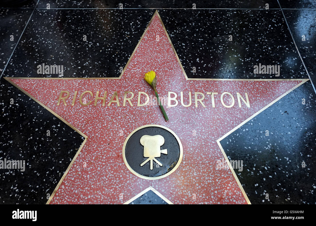 The late Richard Burton is honored with a star on the Hollywood Walk of Fame, Los Angeles, United States, next to that of Elizabeth Taylor. Stock Photo