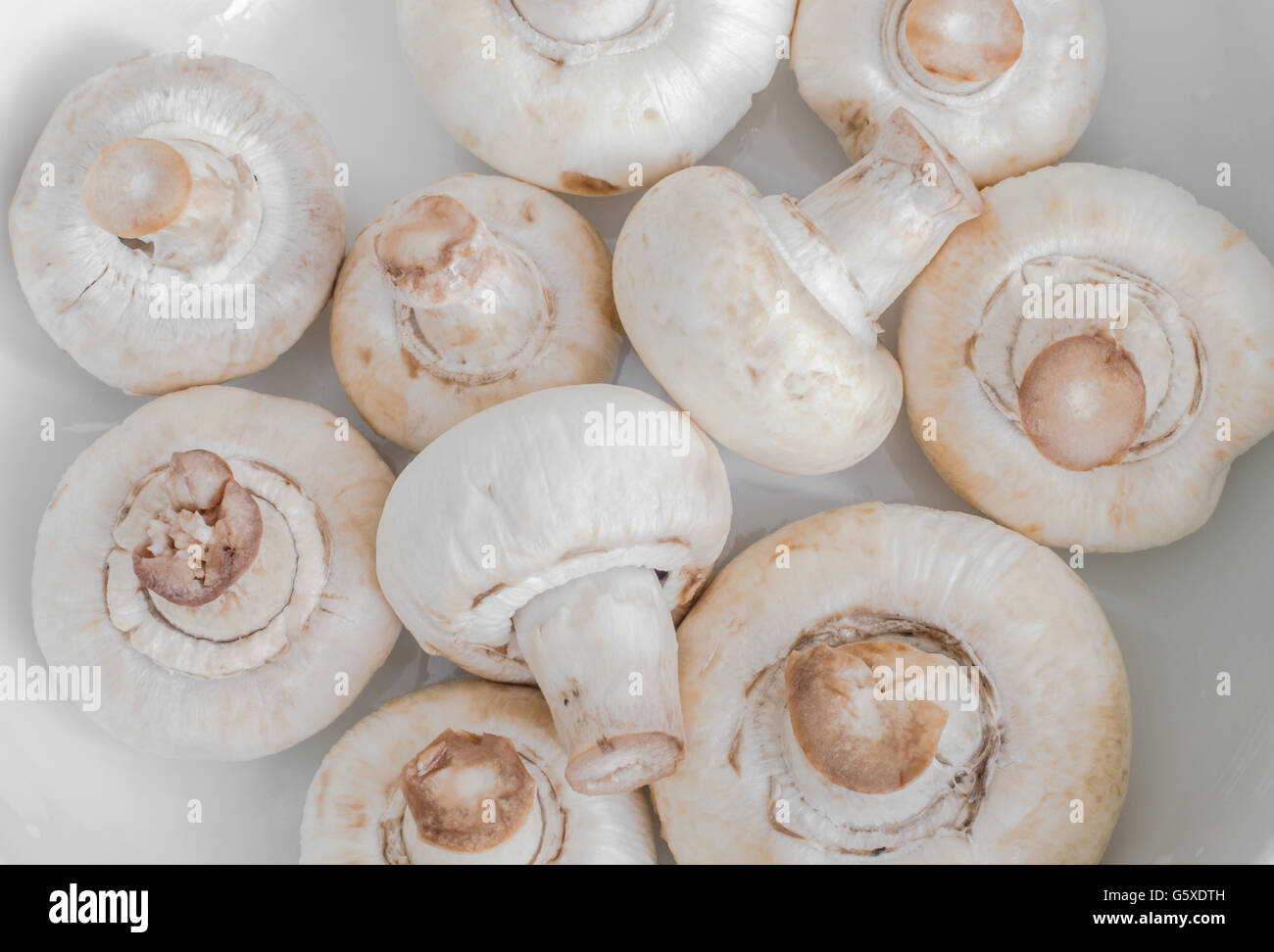 Top View of Sliced Fresh Mushrooms Before Cooking Stock Photo
