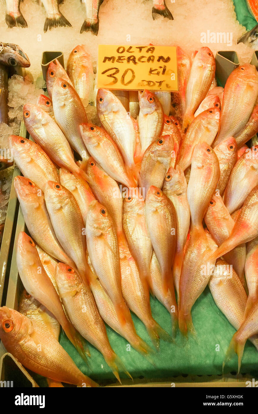 Red Sea Bream in the Fish Bazaar Stock Photo Alamy Red Sea Bream in the Fish Bazaar Stock Photo Alamy
