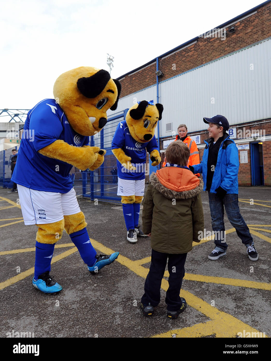 High-Quality Birmingham City V Watford: Championship Live Text, Stats & Head-to-head Landscape for Desktop High-Quality Birmingham City V Watford: Championship Live Text, Stats & Head-to-head Landscape for Desktop