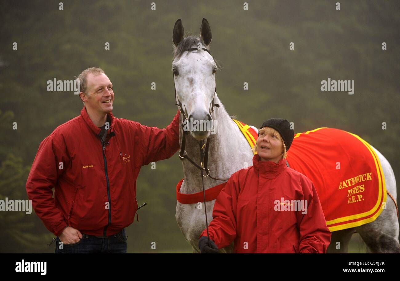 Horse Racing David Pipe Stable Visit Pond House Stock Photo Alamy