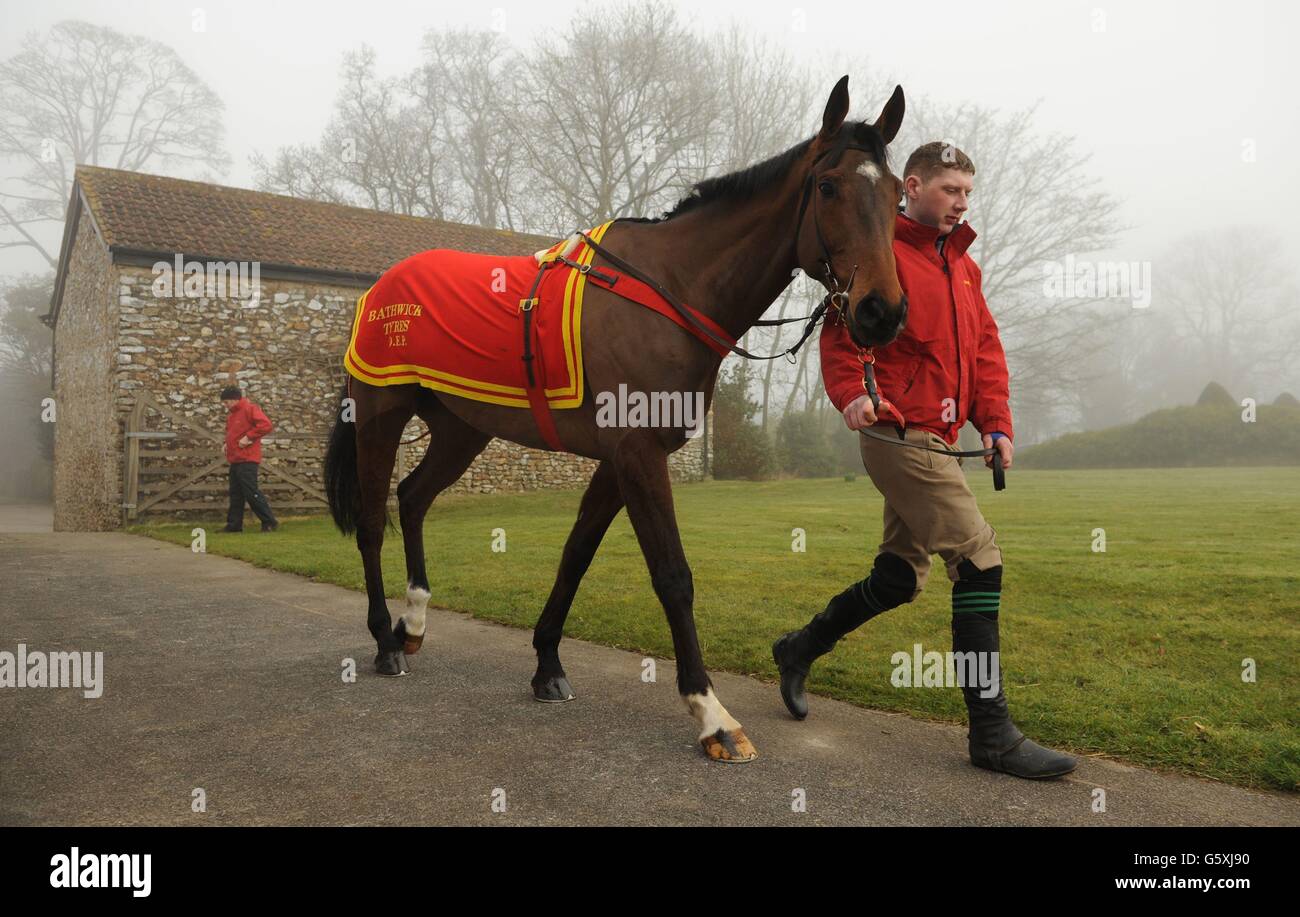 Horse Racing David Pipe Stable Visit Pond House Stock Photo Alamy
