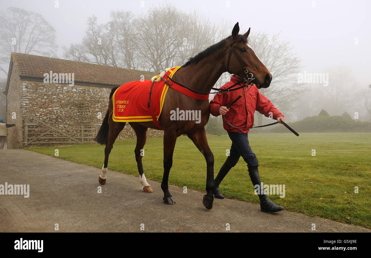 Horse Racing David Pipe Stable Visit Pond House. Buddy Bolero is lead out during the visit
