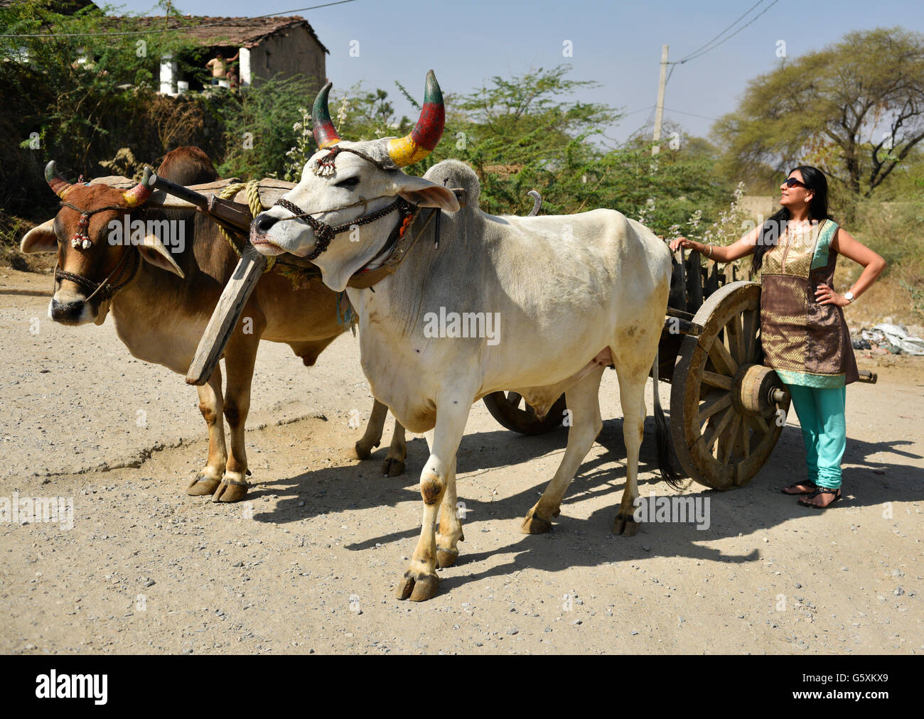 Beautiful urban woman with long black hair expressing farewell to friends and vying for attention in showing off her preparation to get on bull cart. Stock Photo