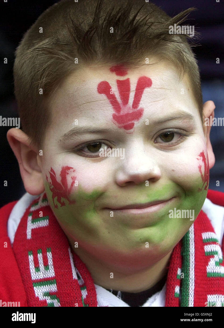 Welsh Rugby Dandelion Fans Welsh Rugby Fan Stock Photo - Alamy