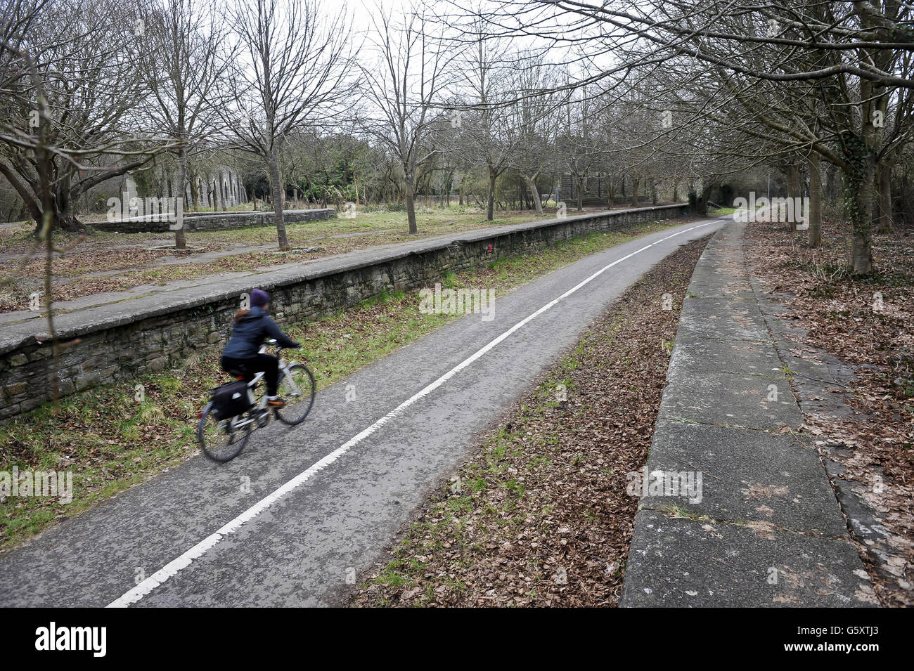 A cyclist passes the old Mangotsfield station on the Bristol & Bath railway path, which runs between the platforms. The Bristol & Bath Railway Path was constructed on the track bed of the former Midland Railway which closed for passenger traffic at the end of the 1960s. Between 1979 and 1986, the railway line was converted into the Railway Path by cycling charity Sustrans. The first stretch was between Bath and Bitton where the campaign group, Cyclebag obtained planning permission to create the 2m wide dust track. The route then developed westwards with Bristol being the last section. This Stock Photo