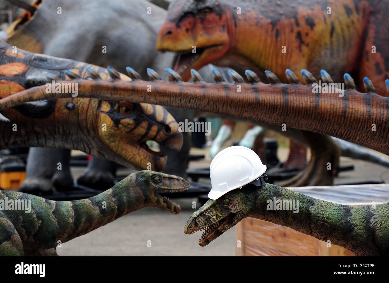 A construction worker's helmet sits on a Coelophysis dinosaur during its arrival at Twycross Zo where fifteen dinosaurs are the main feature of a brand new attraction opening Easter 2013, Dinosaur Valley at the zoo in Warwickshire. Stock Photo