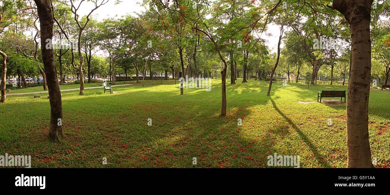 Beautiful public park in hi-res stock photography and images - Alamy