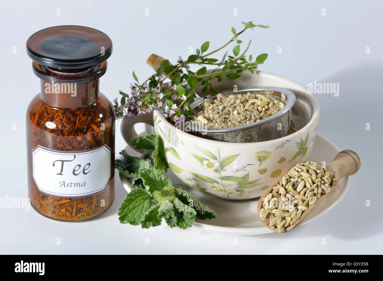 Asthma tea, thyme, common thyme, fennel fruit, fennel, fennels