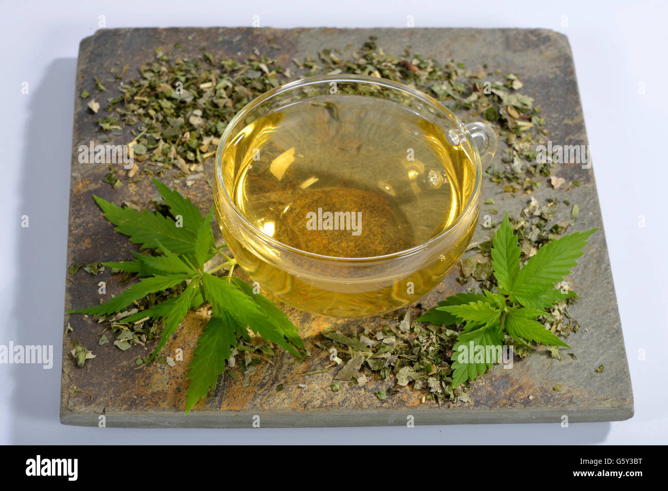 Common hemp, tea Stock Photo Alamy