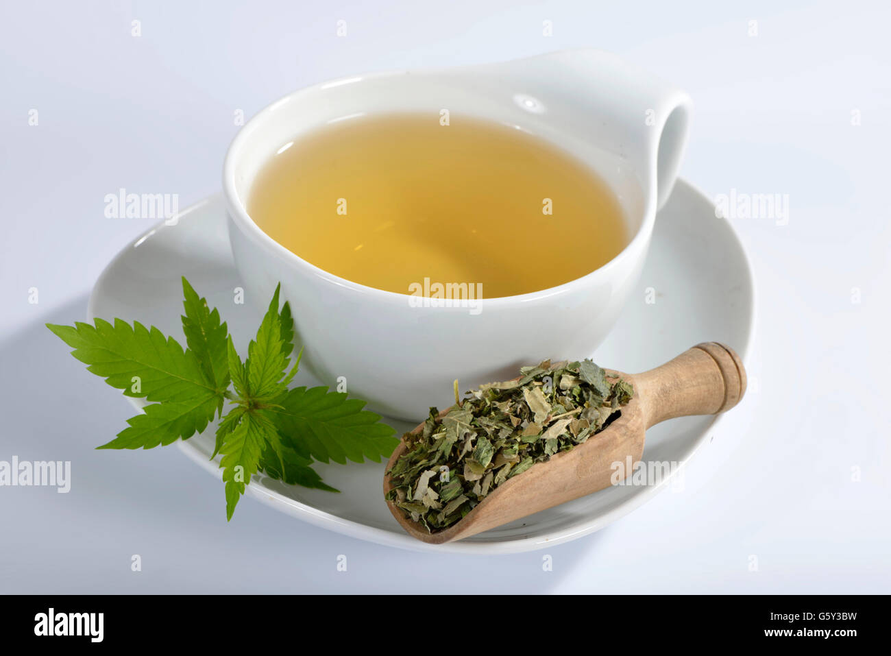 Common hemp, tea Stock Photo