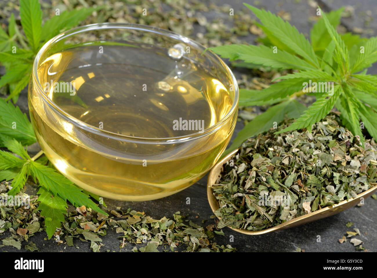 Common hemp, tea Stock Photo Alamy