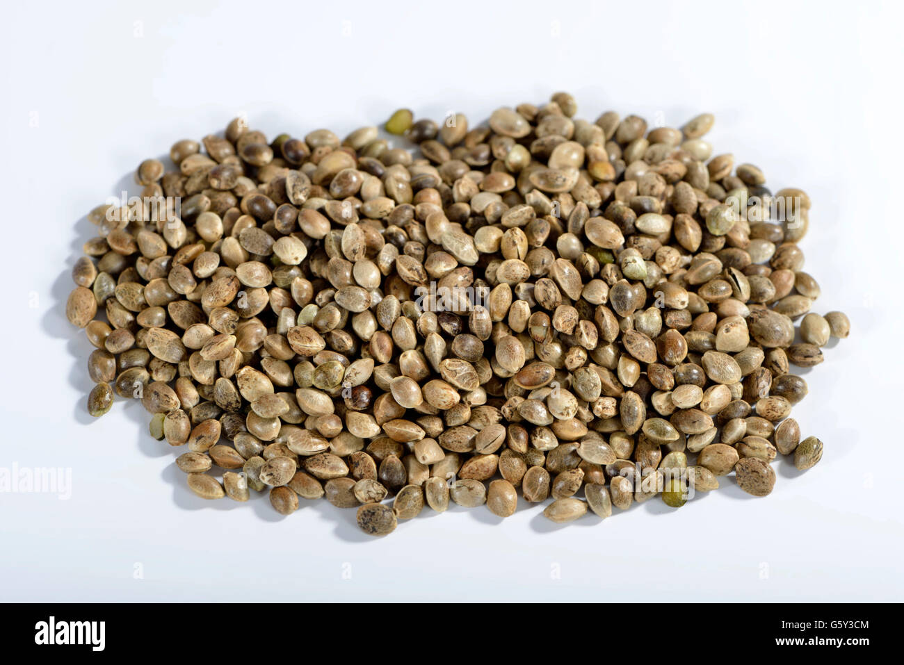 Hemp Seeds In Telugu