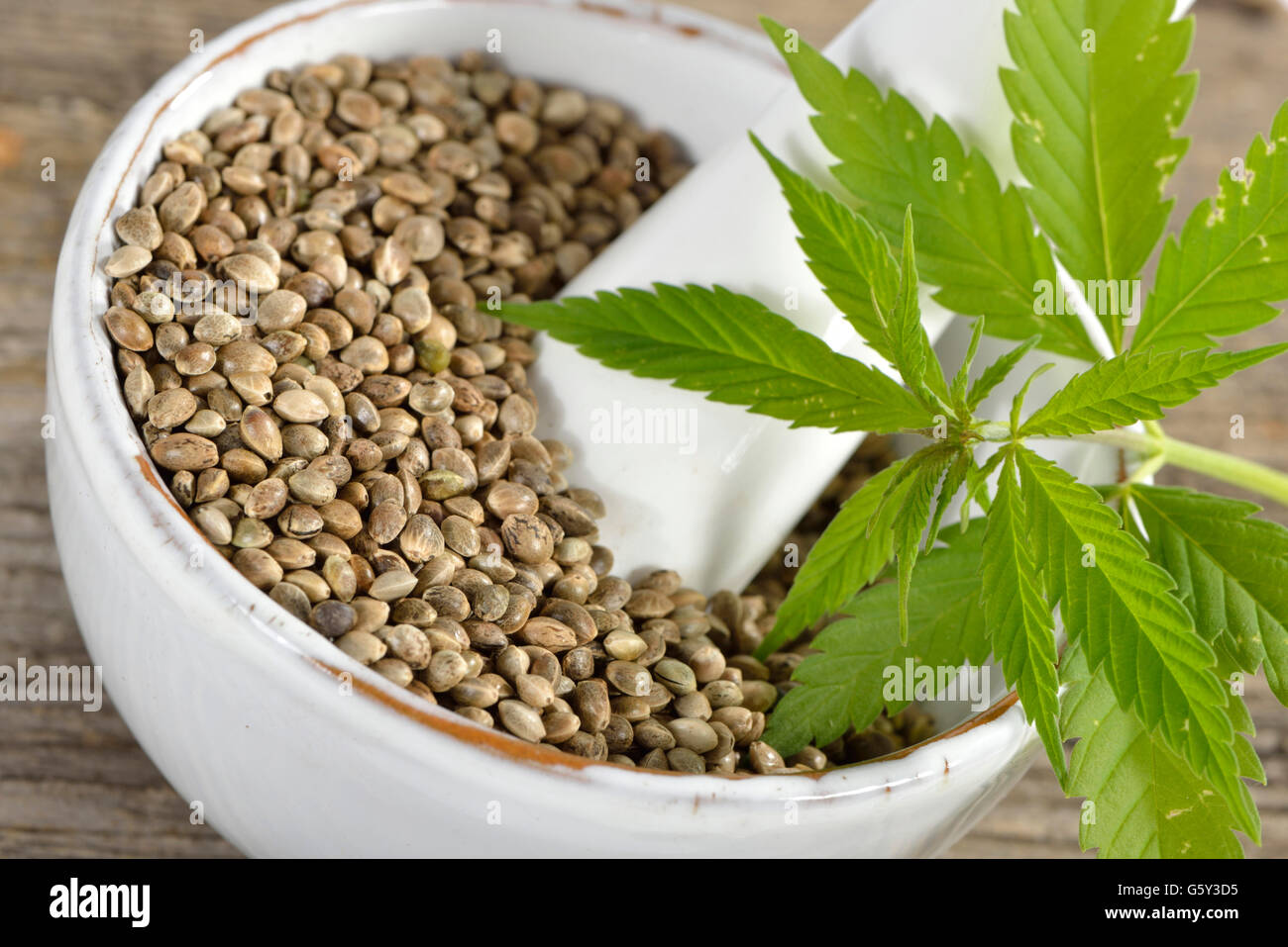Hemp seed hires stock photography and images Alamy
