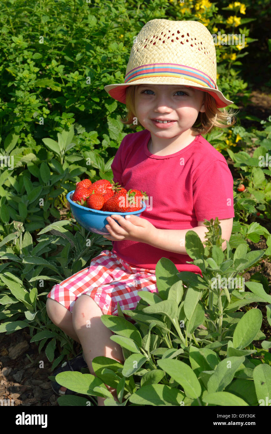 Girl eating strawberries / (Fragaria x ananassa) Stock Photo