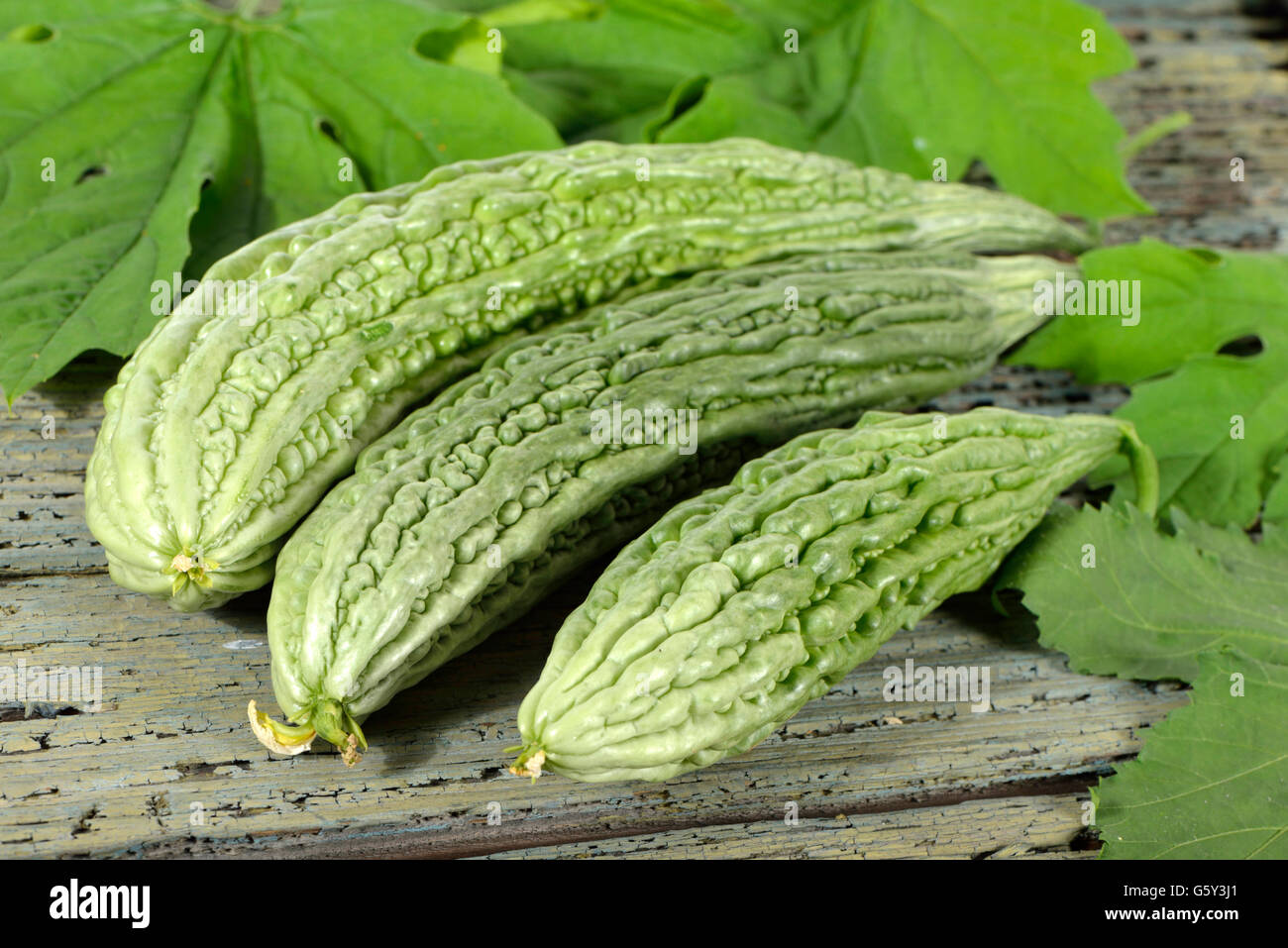 Bitter squash hi-res stock photography and images - Alamy