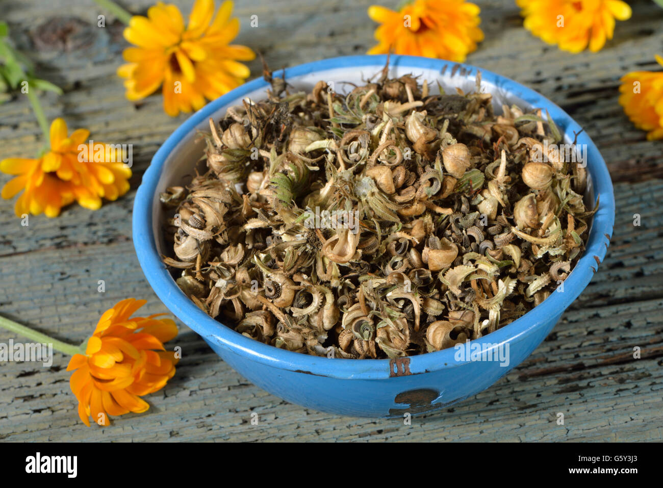 Marigold seed / (Calendula officinalis) Stock Photo