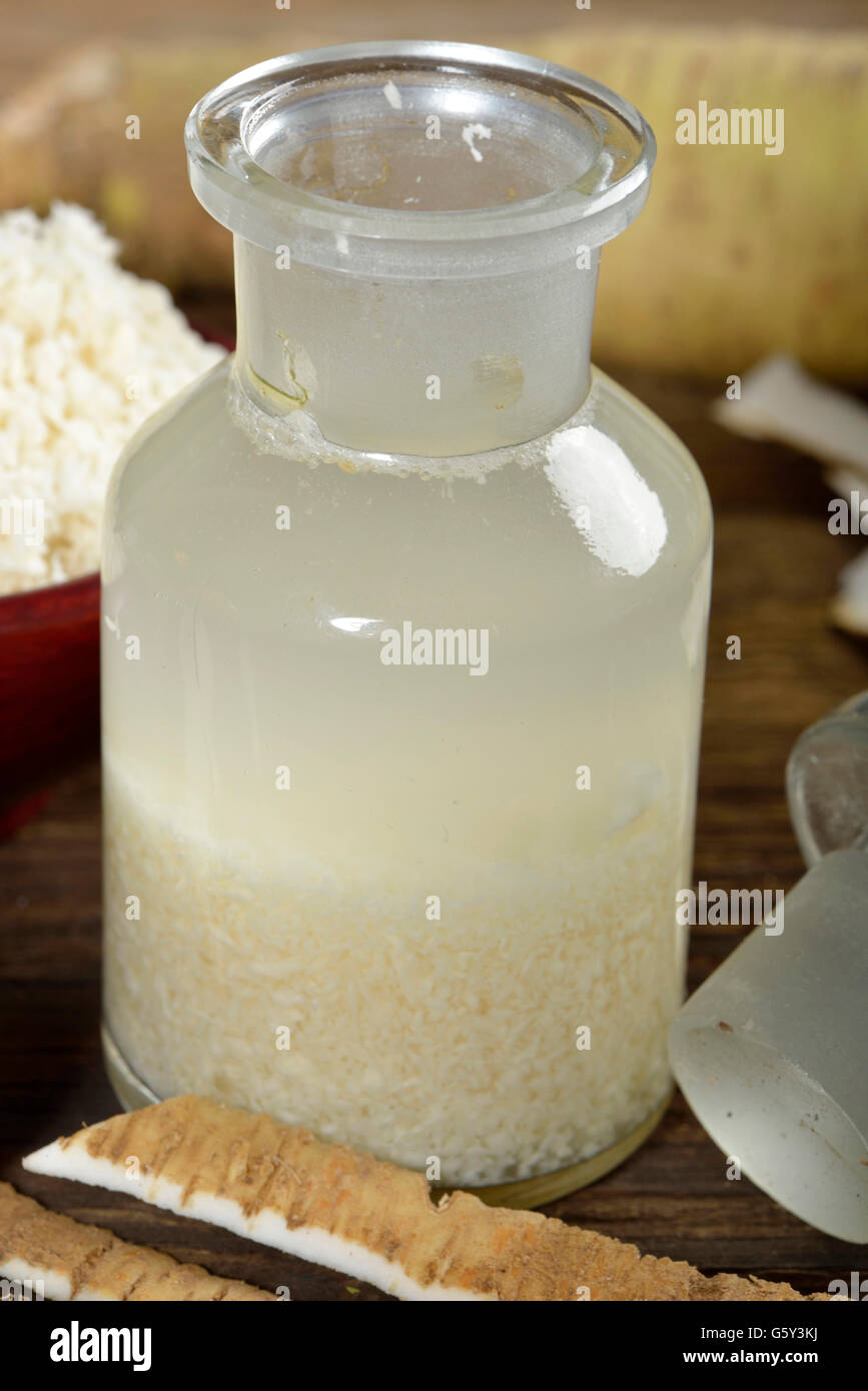 production Horseradish tincture / (Cochlearia armoracia Stock Photo Alamy