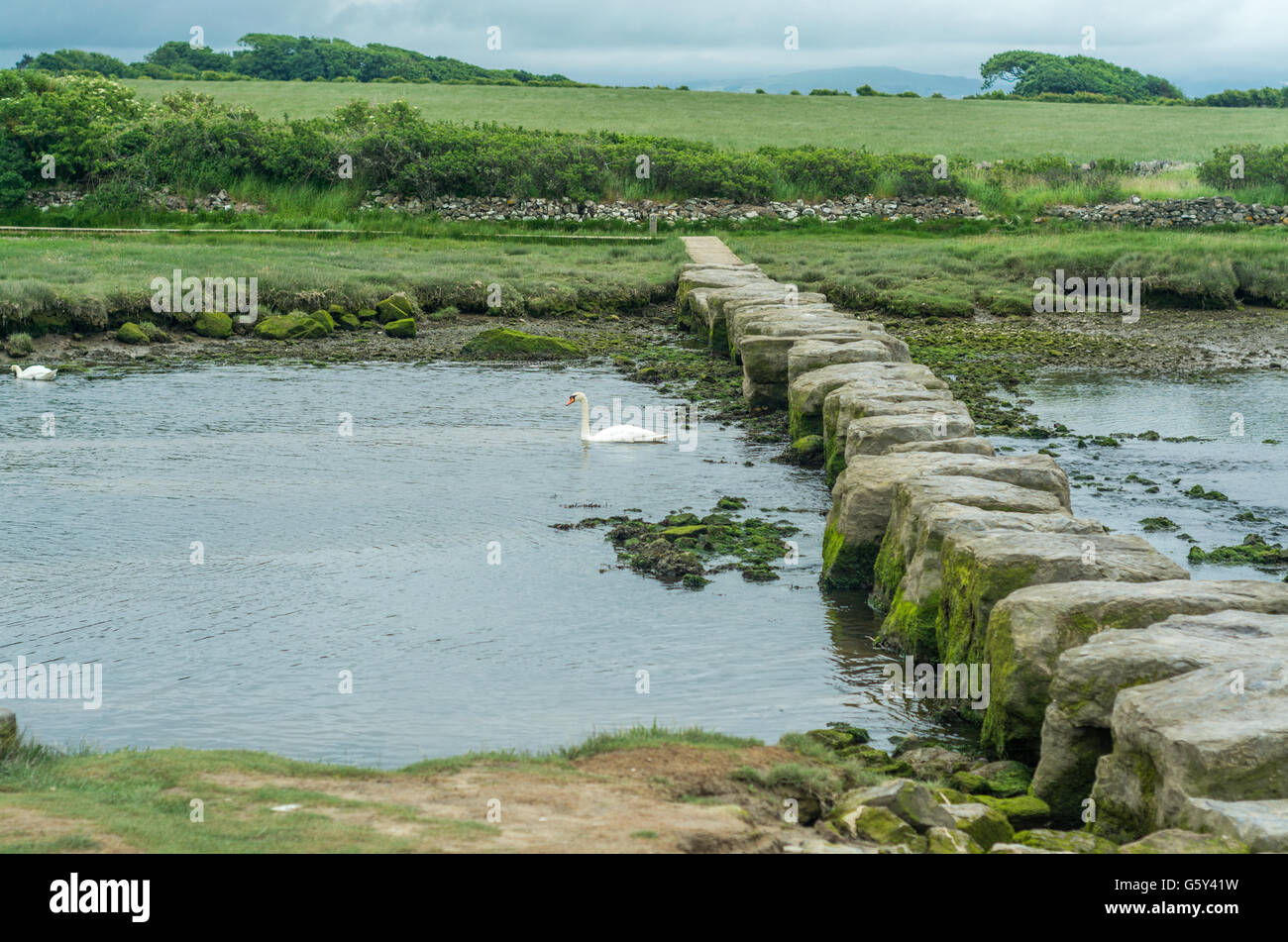 View of the Giant's stepping stones on Anglesey Stock Photo Alamy