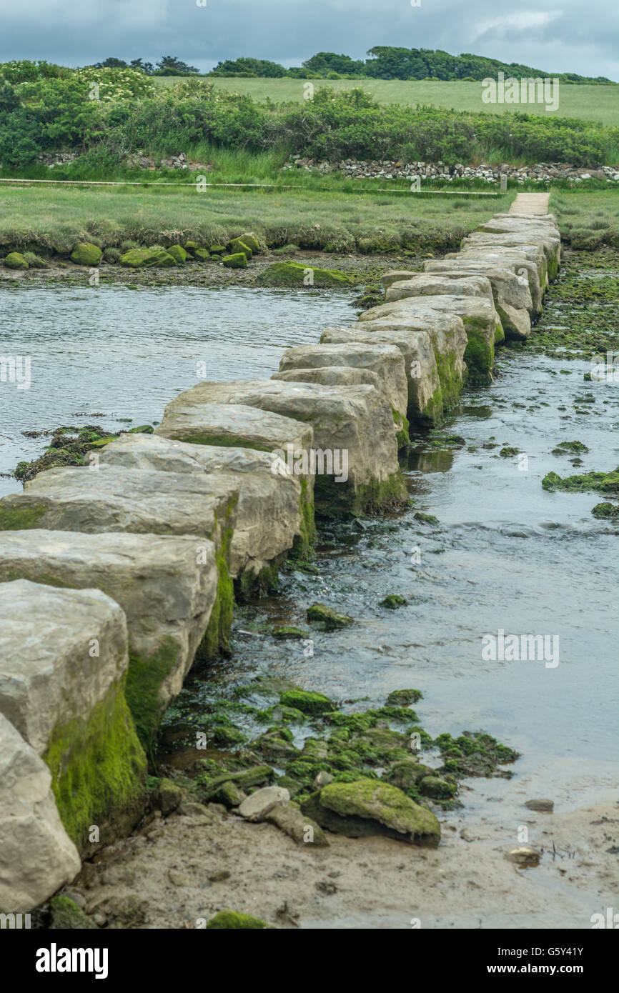 View of the Giant's stepping stones on Anglesey Stock Photo Alamy