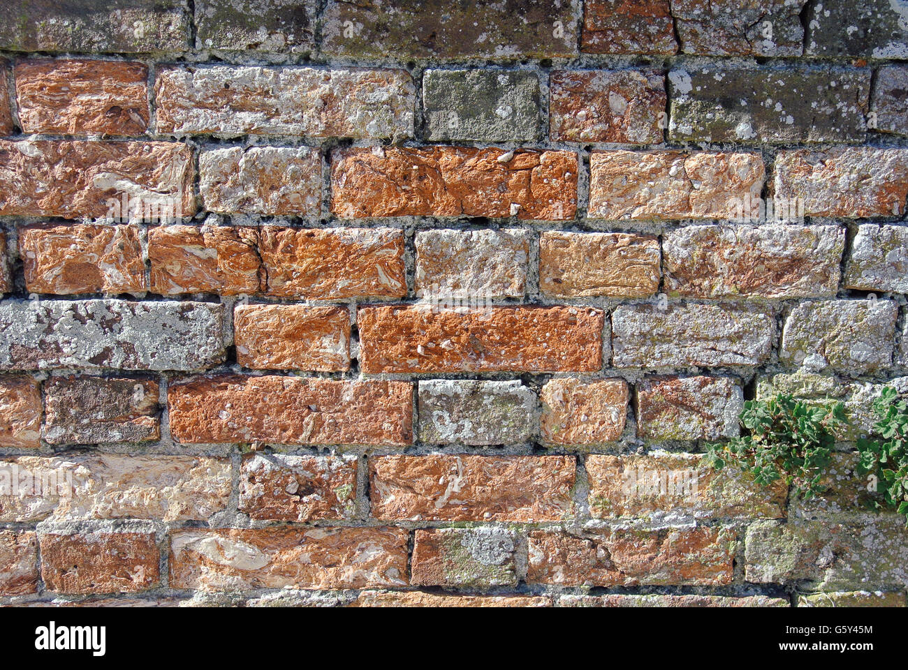 Old Victorian red brick wall closeup Stock Photo - Alamy