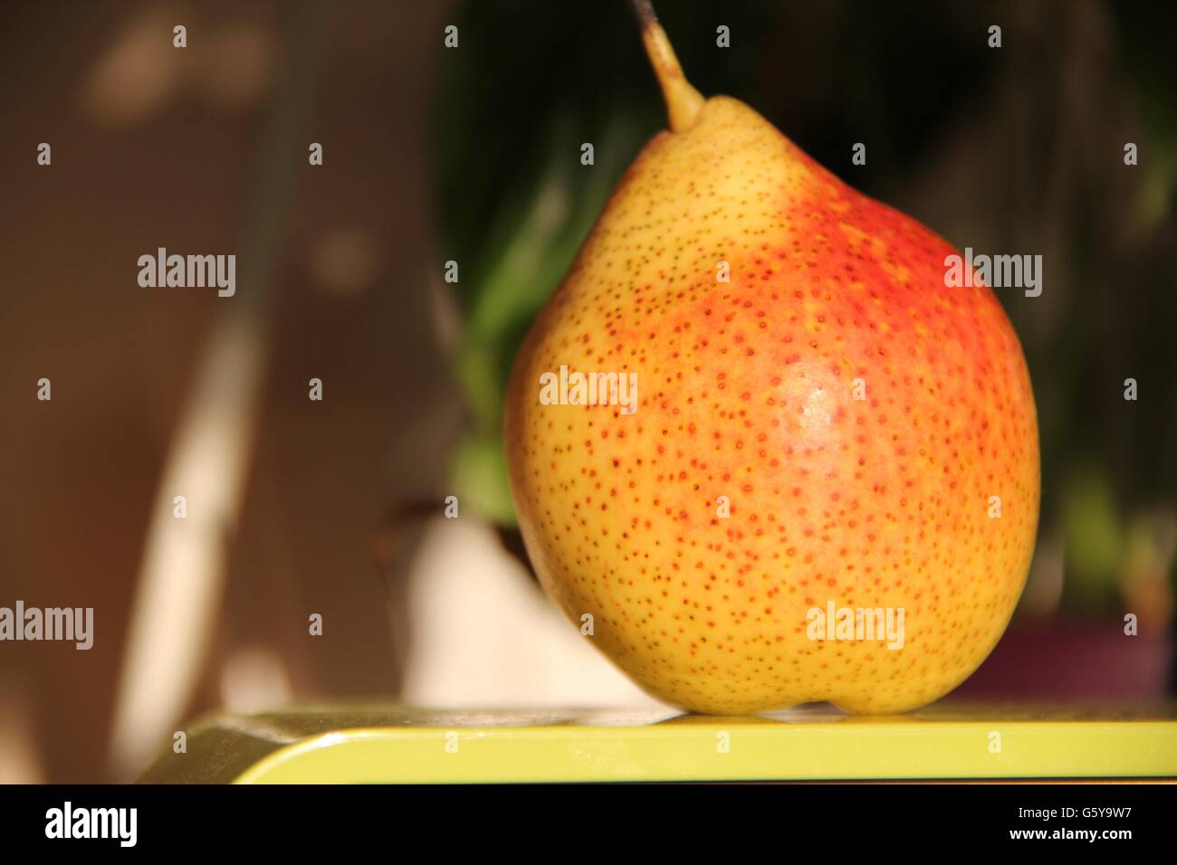 A perfect rosy fresh pear with copy space. Stock Photo
