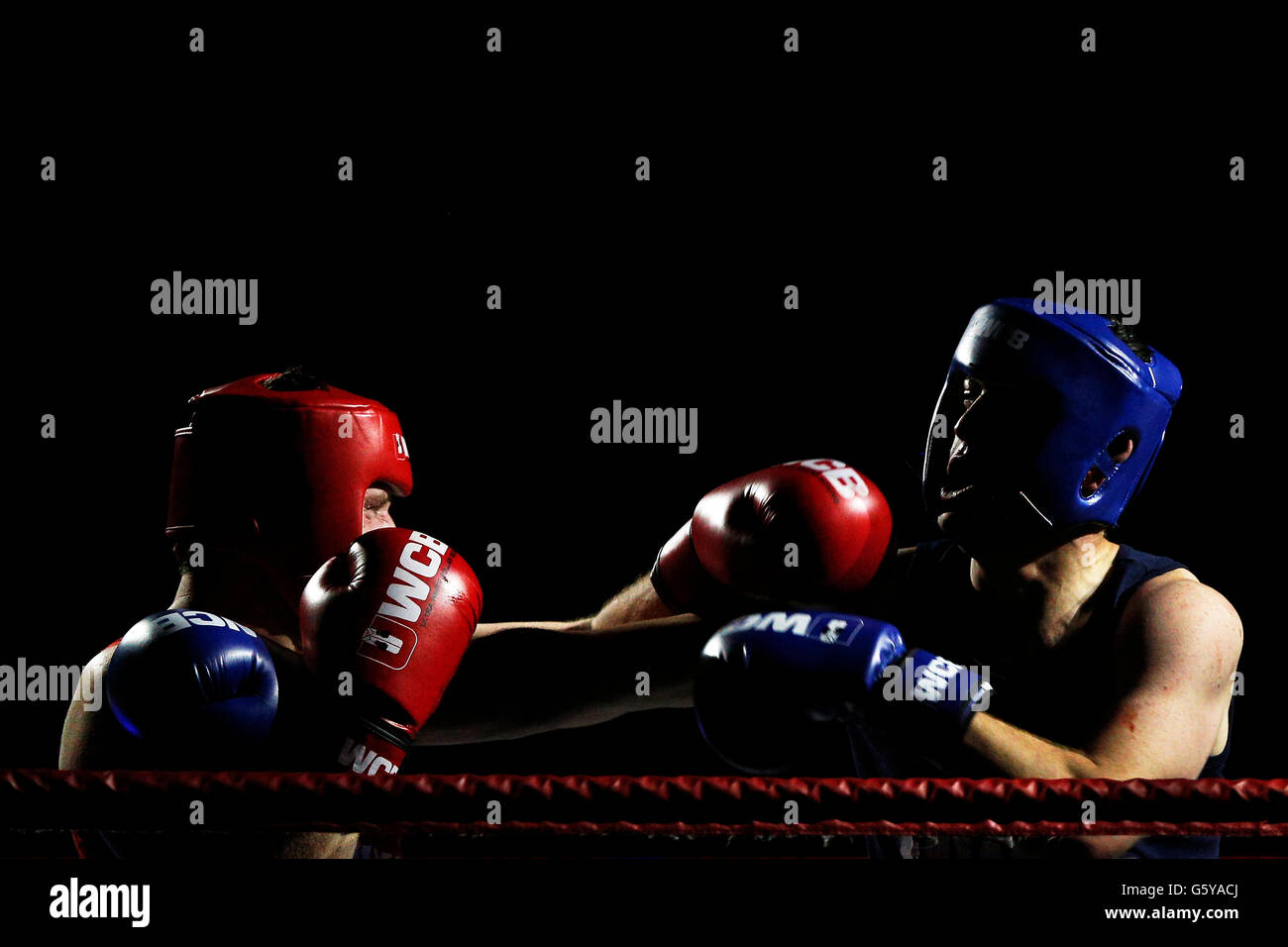 Amateur boxers fight during an Ultimate White Collar boxing competition