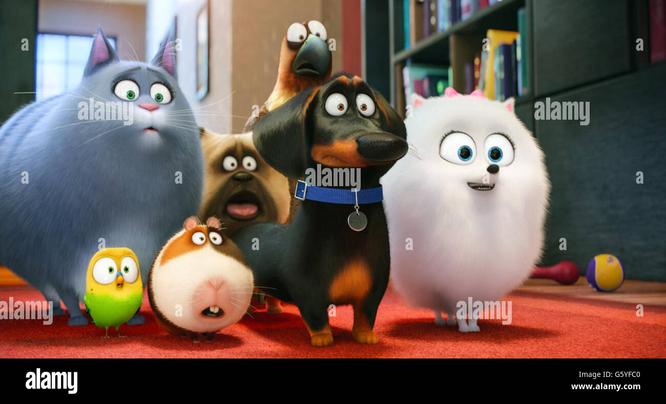 The Secret Life of Pets is an upcoming 2016 American 3D computer animated  comedy film produced by Illumination Entertainment. This photograph is for  editorial use only and is the copyright of the