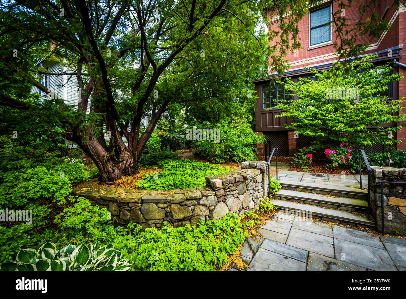 Gardens outside the Brown University Alumni Association Building on the campus of Brown University, in Providence, Rhode Island. Stock Photo