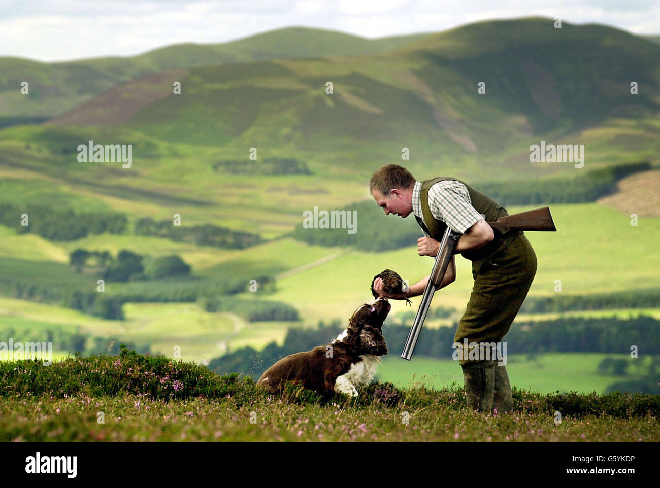 Customs and Traditions - Start of the Grouse Season - Dawyck estate Stock Photo