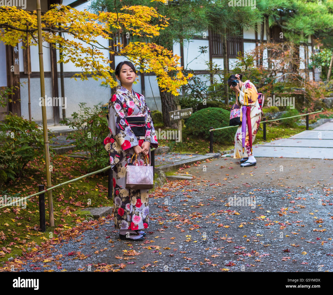 KYOTO, JAPAN - November, 18, 2014: Two japanese girls in traditional kimono, momiji season in Kyoto Stock Photo