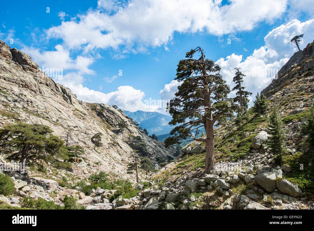 Mountainous landscape in Golo Valley, Nature Park of Corsica, Parc naturel régional de Corse, Corsica, France Stock Photo