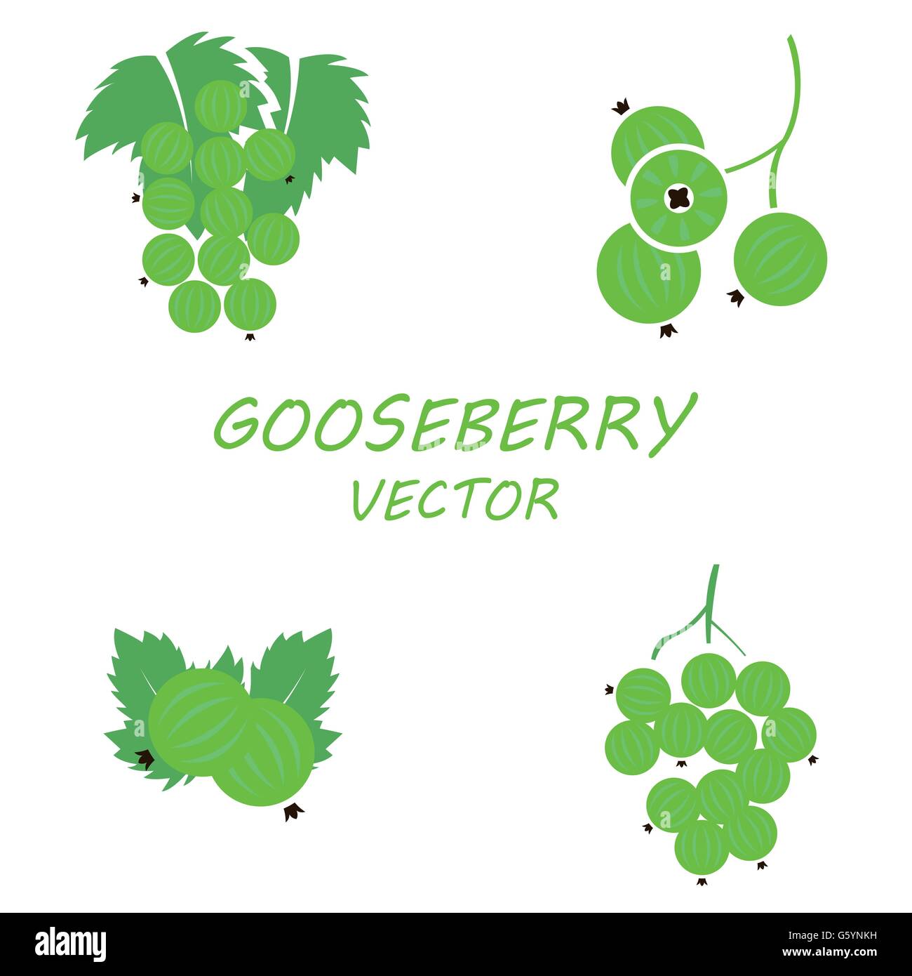 Vector flat gooseberry icons set Stock Vector Image & Art - Alamy