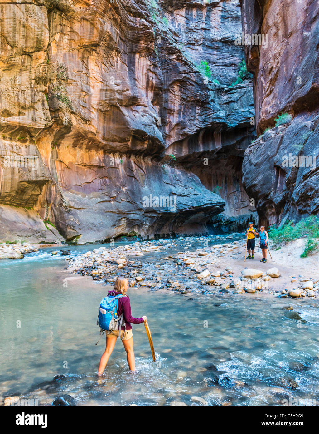 Hiker crossing river, Zion Narrows, narrow of the Virgin River, steep faces of Zion Canyon, Zion